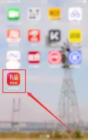 《小米有品》开发票方法介绍
