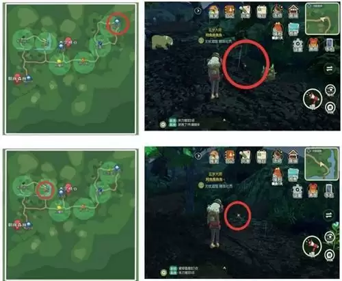 小森生活全部稀有虫点位置一览