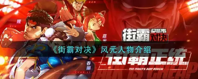 《街霸对决》风元人物介绍