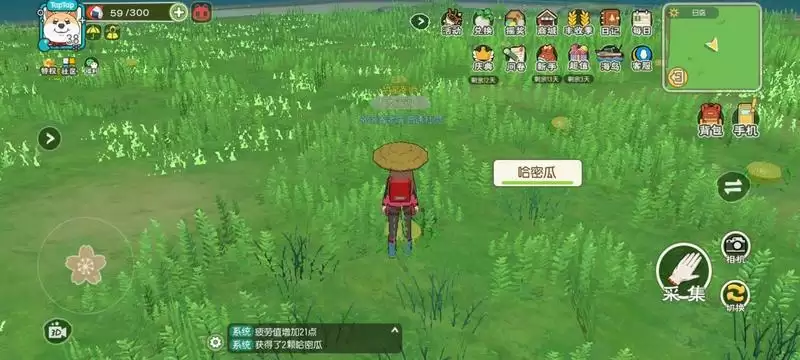 《小森生活》海岛资源采集技巧分享