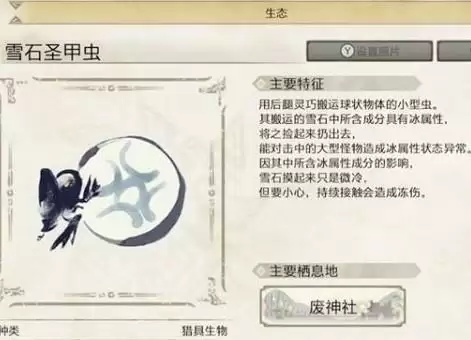 怪物猎人崛起甲虫介绍