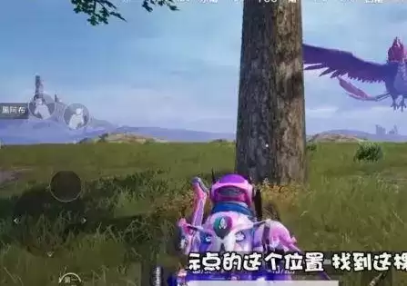 和平精英海岛地图炸水花打卡点位置分享