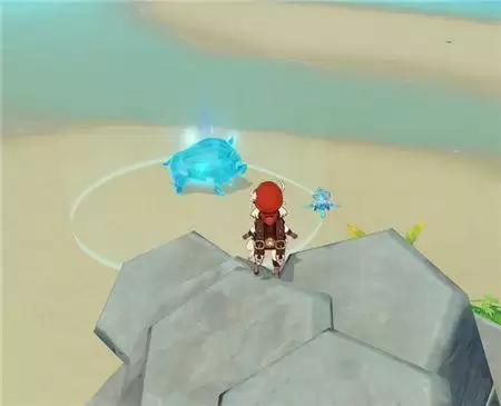 原神地平的边缘纯水动物在哪？地平的边缘纯水动物位置介绍图片6