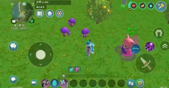 创造与魔法毒蘑菇采集位置大全2021