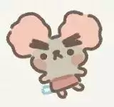 遇见你的猫触发猫圈道具大全分享