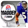 NFL橄榄球2005