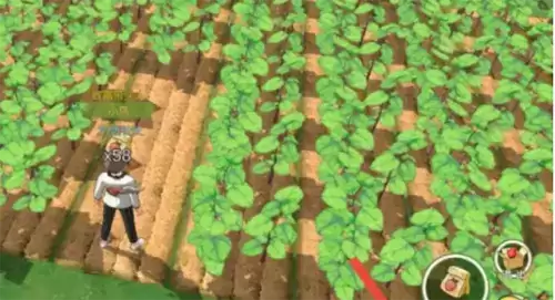 小森生活棉花图片