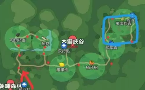 小森生活灯闪果丛图片2