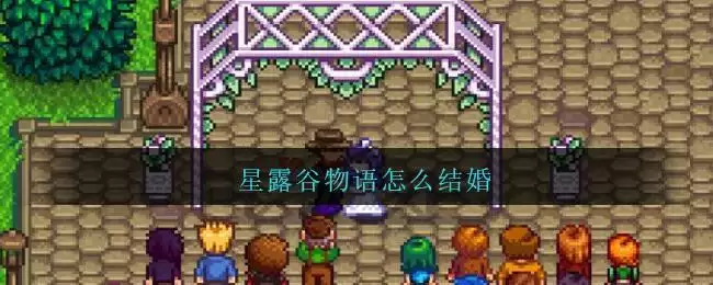 星露谷物语怎么结婚