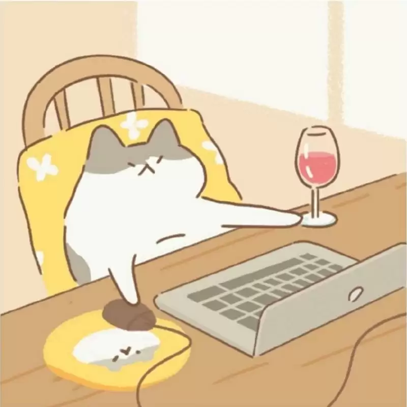 遇见你的猫道具大全 全道具收集途径总汇[多图]图片2