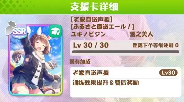 赛马娘雪之美人支援卡效果翻译一览