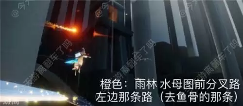 光遇4.16日常任务完成攻略分享