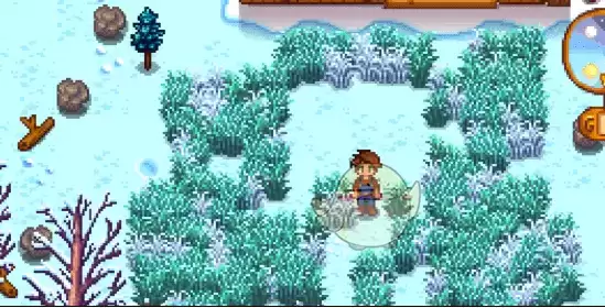 星露谷物语冬日谜团任务怎么做