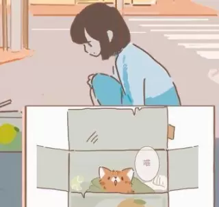 遇见你的猫爱心怎么获得