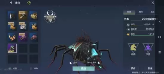 妄想山海什么宠物好