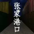 孙美琪疑案张家港口1.0
