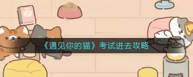 《遇见你的猫》考试进去攻略
