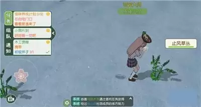 《小森生活》止风草刷新位置介绍