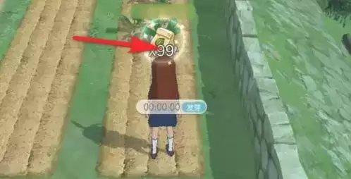 小森生活游戏截图