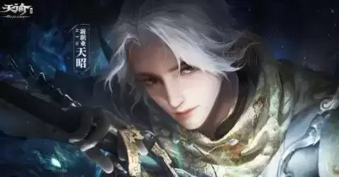 天谕手游天昭技能搭配推荐