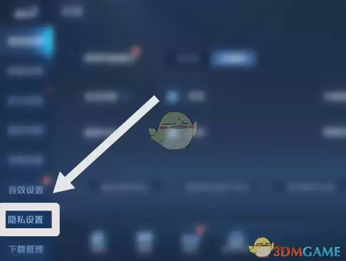 王者战绩怎么隐藏