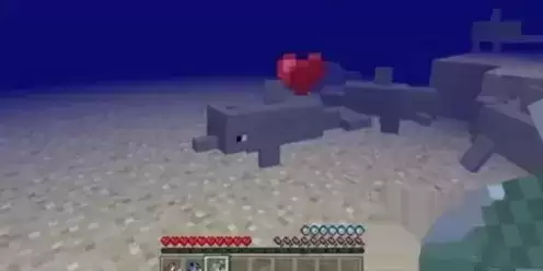 我的世界杀海豚会怎么样?杀海豚会掉什么图片2