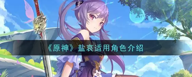 《原神》盐哀适用角色介绍