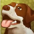 纸鱼解说Doge Dungeon地表最强狗