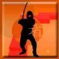忍者终极探索
