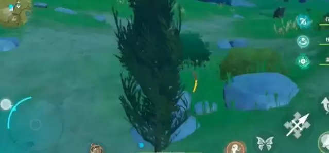 原神松木哪里多？松木分布位置大全图片1