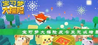 宝可梦大探险九游手游合集