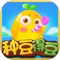 种豆得豆红包
