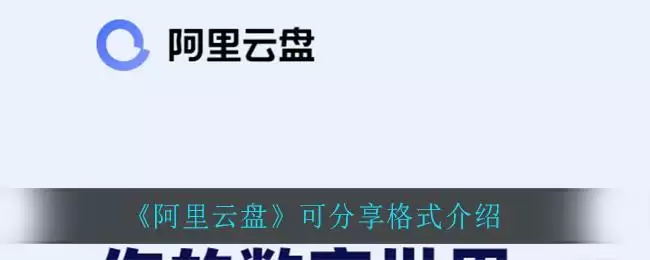 《阿里云盘》可分享格式介绍