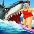 海洋的杀手鲨