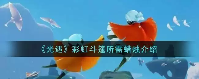 《光遇》彩虹斗篷所需蜡烛介绍