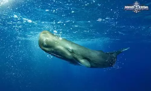 凡人修仙传挂机版3