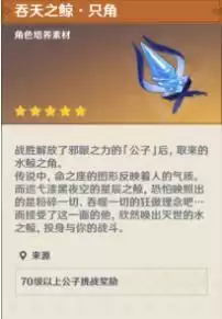 吞天之鲸是给谁的升级材料