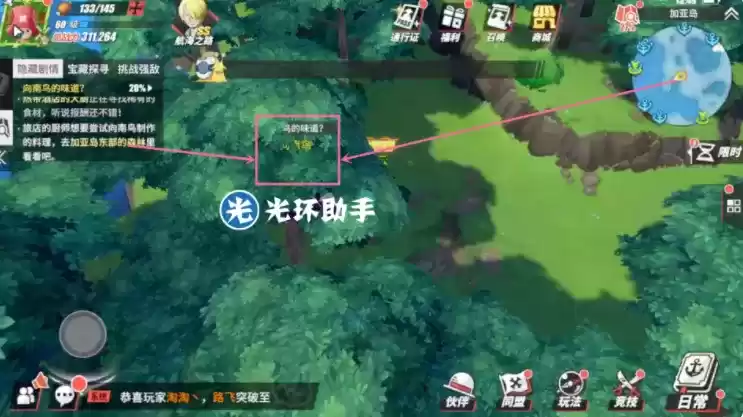 航海王热血航线加亚岛向南鸟的味道任务攻略