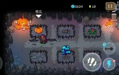 《元气骑士》南瓜种子作用介绍