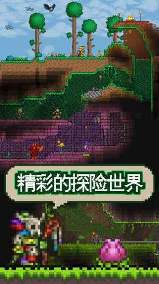 泰拉瑞亚游戏图3