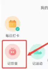 《薄荷健康》记录饮食方法介绍