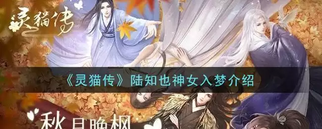 《灵猫传》陆知也神女入梦介绍