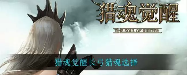 猎魂觉醒长弓猎魂选择