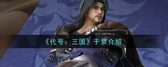 《代号：三国》于禁介绍