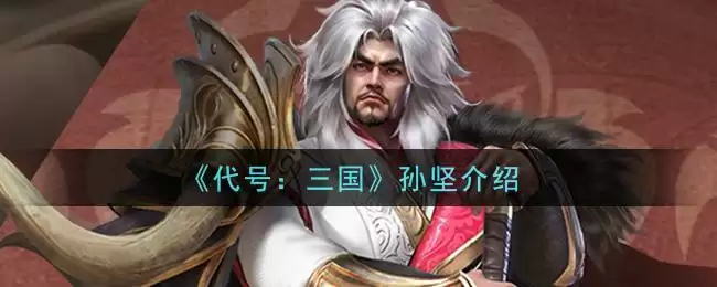 《代号:三国》孙坚介绍