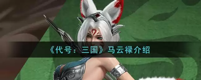 《代号：三国》马云禄介绍