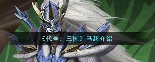 《代号:三国》马超介绍