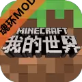 我的世界