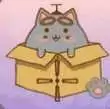 抓住流浪猫7.6
