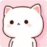 一起养猫咪